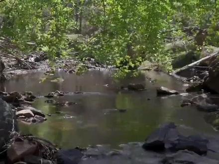 #阿含经很重要,也有局限