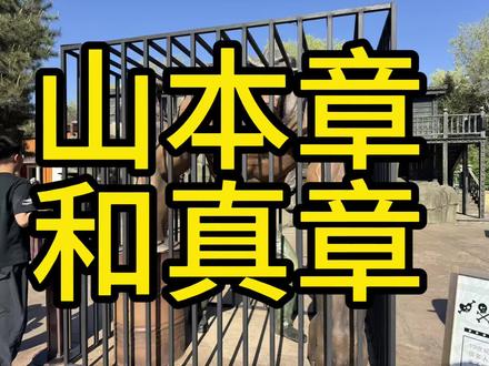 速来最新消息