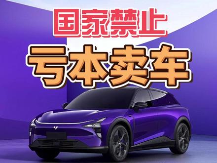 国家禁止,亏本卖车! #热点 #价格战 #新能源汽车