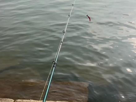 浅谈作钓红眼的方法#原创视频 #路亚野钓 #微物路亚 #休闲野钓 #钓鱼只有钓鱼人懂