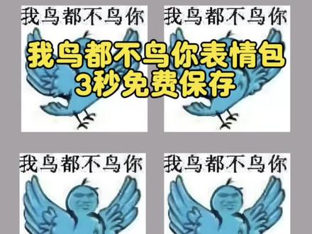我鸟都不鸟你表情包保存方法来了。 #我鸟都不鸟你 #表情包 #鸟都不鸟你原版视频 #剪映 #鸟都不鸟你原版