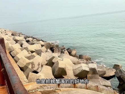 还有比东堤公园功能更全还不收门票的海边吗? #旅行 #旅行推荐官 #天津海边游玩 #真实生活分享计划 #vlog十亿流量扶持计划