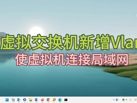 VMware虚拟交换机新增VLAN使虚拟机接入局域网的详细过程#交换机 #vmware #vlan #ping #局域网