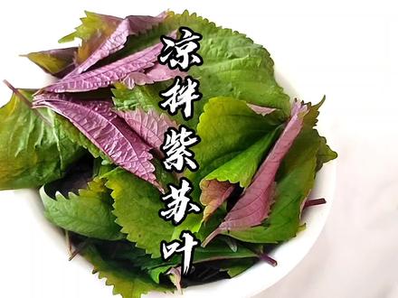紫苏叶你们都怎么吃呢?试试凉拌紫苏,带着独有的芬芳清爽解口!#凉拌菜 #凉拌紫苏叶 #抖音小助手 #美食推荐官