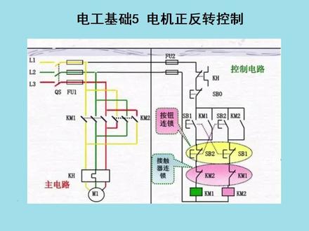 PLC入门 电工基础5 电机正反转控制 #plc入门 #电工基础入门知识