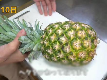 沉浸式在家种菠萝,自从学会这个技术,威哥就再也没有去过水果店了,万物皆可在家种 #菠萝 #种植技术 #阳台盆栽