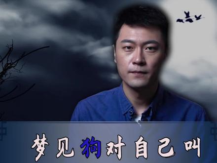 梦中见狗,被狗追?被狗咬? #梦 #周公解梦 #上热门