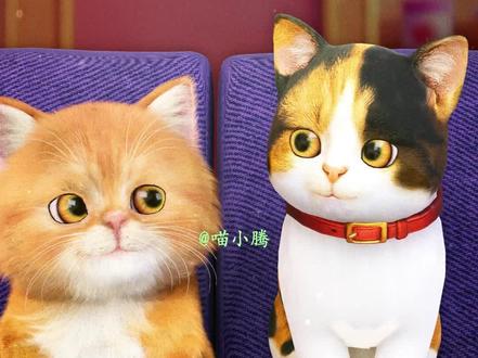 欢迎萝卜纸巾猫咪来做客😂😂😂 #看看谁是萝卜纸巾挑战的十级学者 @超级无敌大开门 #喵小腾 #萝卜纸巾猫咪 #萝卜纸巾猫