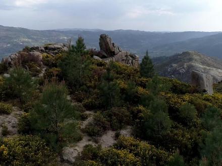 文明崩潰真係早有跡象?《第三種黑猩猩》揭開人類宿命級弱點! 您有冇諗過,點解人類文明睇落好強大,但其實一次又一次喺相似嘅坑度跌倒?
點解咁多文明最終唔係被敵人摧毀,而係被自己嘅選擇推向崩潰?
又點解喺高度文明嘅外表底下,人類仍然活得咁焦慮、咁衝突、咁難以控制自己?
呢條影片,會帶你走入普立獎作者賈雷德·戴蒙德嘅代表作——《第三種黑猩猩》。
呢本書以宏大嘅演化視角,同嚴謹嘅跨學科證據,
揭開一個令人不寒而慄嘅真相:
主宰人類文明興衰嘅,其實唔係智慧,而係我哋基因入面嘅動物性本能。
本片將帶您深入探討人類文明一路以來反覆上演嘅模式,
從暴力、族群衝突、性行為、文化形成,到文明崩潰嘅機制,
每一個現象背後,都有一套演化邏輯支撐。