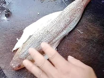 香煎葵龙鱼,调料:姜葱蒜、生抽蚝油五香粉