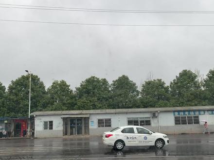 松滋科目三2号线
#关注教练学车不迷路
#科目三练车
#逢考必过