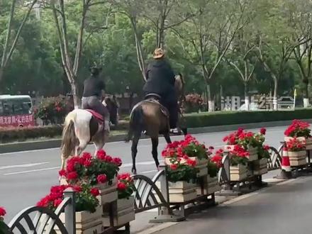 昆明街头4人在车道中策马狂奔,交警:属违法行为,将处罚