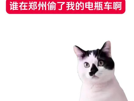 #谁偷了我的电瓶车 小偷,还我小绿