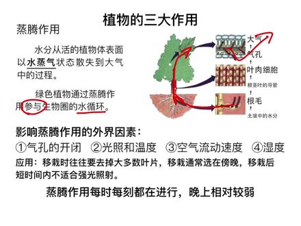 人教版-生物七上复习-第二十二讲