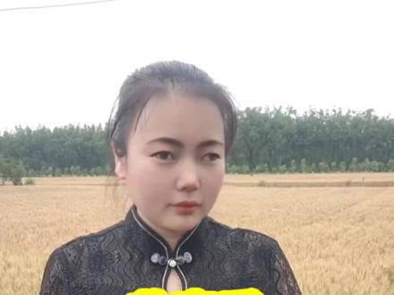 收麦季,豫南地区小麦谨防烂场雨,小麦抢收是关键#耘熙#小麦种植#小麦高产#收小麦#烂场雨@耘熙重茬特肥厂
