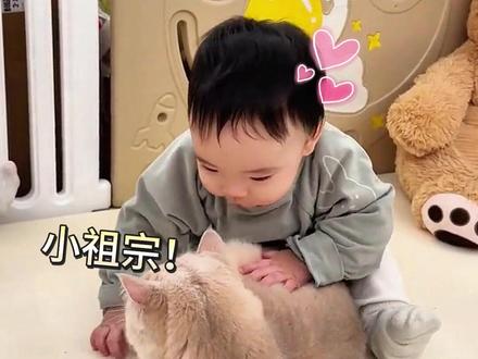 吃一顿或顿顿吃,猫还是分的清的!#猫咪行为解析 #猫咪为什么喜欢小孩 #人猫和谐 #猫咪科普 #我的小猫