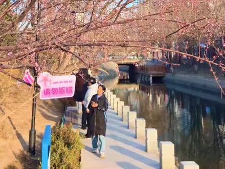 昨天(3月9日)下午,我兴冲冲地去了趟十里堡桃花溪,感觉被骗了!
#十里堡桃花溪 #北京赏花攻略 #北京旅游攻略 #北京春游赏花 #北京周末去哪儿