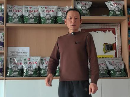 铁391K双抗!抗虫!抗草!