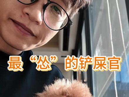 养小小型犬中,我应该是最怂的那一个吧#不牵绳遛狗 #宠物是家人