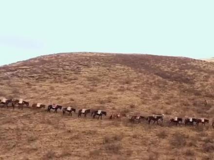 多给年轻的共和国一点时间!她还很年轻!