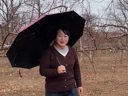春雨贵如油,陕北下雨了,在这黄土高原靠天吃饭的地方,雨水特别珍贵,你们的第一次场雨下过了吗?#乡村守护人 #三农 #记录真实生活 #新农人计划2023 #陕北艳丽