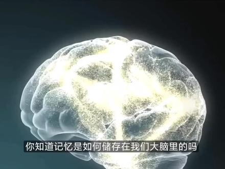 你知道大脑是如何存储记忆的吗 #大脑 #记忆力 #生命科学 #提升记忆力