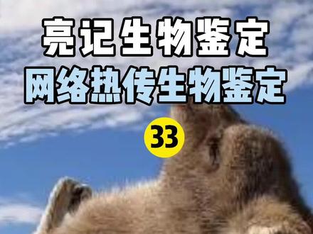 网络热传生物鉴定33#亮记生物鉴定 #寒假充电计划