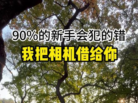 三种简单易懂的秋日树林拍摄技巧#拍树 #学摄影 #摄影技巧 #尼康z63