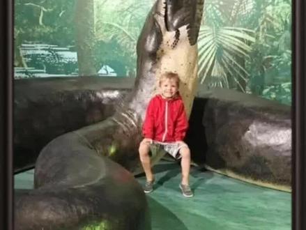 拿稳手机,史前巨蛇“泰坦巨蟒”来袭,怕不怕?#泰坦巨蟒 #史前生物 #方舟生存进化 #巨蟒 #创作灵感