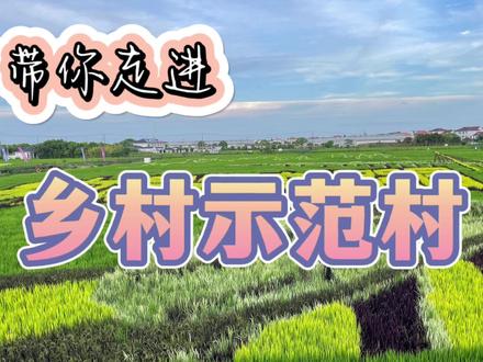 乡间小道,稻田涟漪,一幅农村自然风光,地铁16号线直达惠南东下#稻田风光 #海沈村打造中国美丽乡村 #钟天使家乡 #浦东新区惠南镇 #新农村建设改造 #周末去哪儿玩 #上海周边游 #亲子游玩好去处 #乡村田野 #小众打卡拍照地点