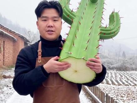 今天吃个会吐刺的仙人掌 #Ai创作者浪潮计划 #仙人掌 #美食教程 #农村美食 #真实生活记录