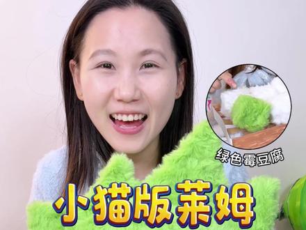 节奏盒子小猫版莱姆来啦,还给它做了绿色霉豆腐~#手工diy #节奏盒子 #创意手工 #霉豆腐