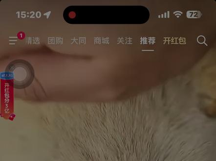 给我笑屁了🤣#大狗 #大狗大狗叫叫叫 #叮咚鸡 #叮咚鸡大狗叫 #评论区语音