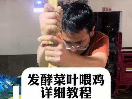发酵菜叶喂鸡降低成本,教程来了#菜叶发酵 #清阳鸡哥发酵饲料