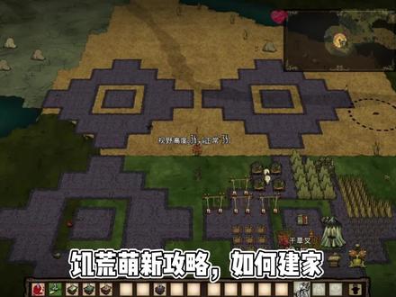 饥荒萌新攻略,如何建家第一期 #饥荒联机版