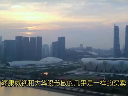 海康威视VS大华股份(上) #股票 #价值投资 #理财 #海康威视 #财报分析 #年报分析 #财务报表