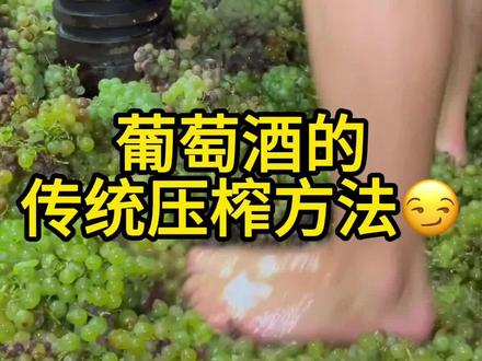 用脚踩来进行葡萄的压榨,这样的葡萄酒敢喝么?#脚踩葡萄 #脚踩葡萄酒 #葡萄酒制作过程 #葡萄酒酿造 #红酒酿造