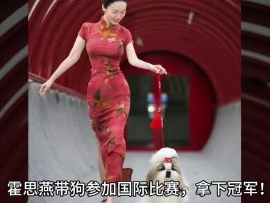 杜江激动发文!霍思燕带狗参加国际比赛,拿下冠军!唯一的中国队#狗狗 #故事会#真实故事 #社会百态
