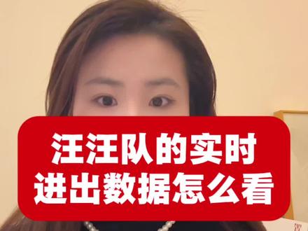 1分钟学会看“汪汪队”进流出数据