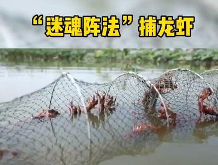 捕虾网的原理晓得不?说是跟葫芦似的进去了就出不来#捕虾 @抖音三农 @抖音小助手