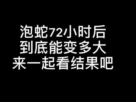你们要的🐍泡72小时后的变化,跟你想象的一样吗?#好玩玩具