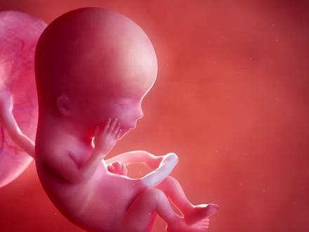 孕中期的姐妹们快看!13-28周宝宝每周变化👇🏻
🔸13周:像个小桃子,会吞咽了
🔸14周:长胎毛啦,会在羊水里尿尿
🔸15周:能听到妈妈心跳声
🔸16周:可能感受到小鱼吐泡泡般的胎动
🔸17周:囤积脂肪,能听外界声音
🔸18周:超活跃!开始翻身踢腿
🔸19周:长胎脂保护皮肤
🔸20周:大排畸周!味蕾发育中
🔸21周:有睡眠周期了
🔸22周:对音乐有反应
🔸23周:快速长肉肉
🔸24周:医学称“有生机的一周”
🔸25周:小手会抓脐带玩
🔸26周:第一次睁眼睛
🔸27周:会打哈欠做梦啦
🔸28周:进入孕晚期🎉
.
🌟小提醒:
20周后数胎动|24周做糖耐|坚持补钙补铁|多和宝宝说话
.
孕中期真的很美好,珍惜合体时光呀❤️
#孕中期#胎儿成长 #准妈妈必看 #孕期那些事#胎宝宝在肚子里的状态