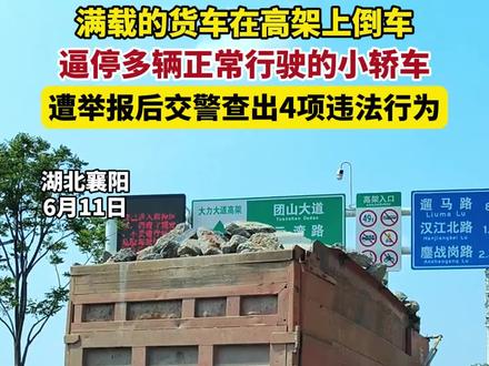 胆大!货车高架上倒车被举报,交警查出4项违法行为!#交通安全