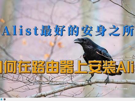 Alist最好的安身之所~如何在路由器上安装Alist #alist #路由器