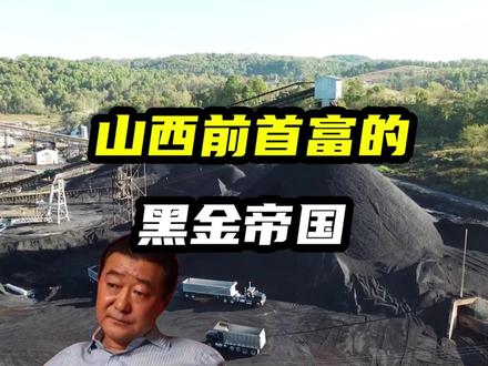 山西前首富的黑金帝国 #商业 #资本 #张新明 #山西前首富