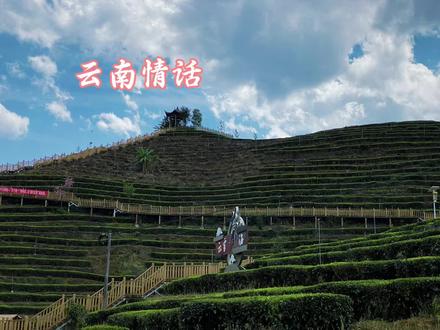 云南情话#云南#云南情话