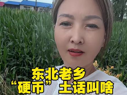 有知道的吗?#东北园子##东北话 #东北方言 #日常唠嗑 #硬币