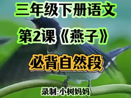 #三年级下册语文 第二课《燕子》必背自然段,收藏起来给孩子学习吧! #课文朗读 #知识点分享