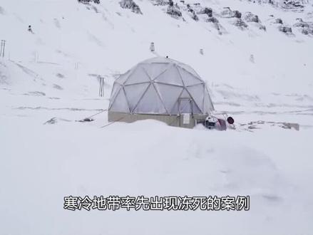 如果一夜之间全球平均气温骤降40℃,地球会怎么样? #科普 #地球 @抖音青少年