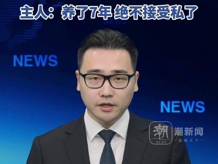 两男孩点燃烟花扔进狗笼致萨摩耶惨死。家长:愿意赔偿6000元或重买一只狗。主人:养了7年的狗狗,不接受私了。